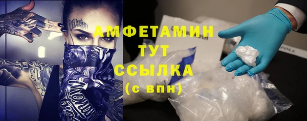 apvp Вяземский